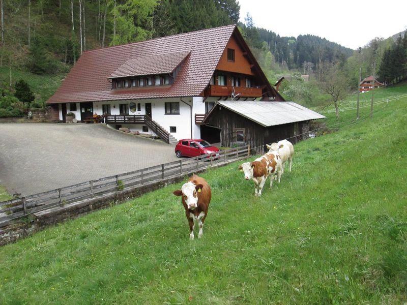 Hinterkimmighof Leilighet Oberharmersbach Eksteriør bilde